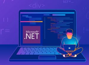 NET Framework Programming